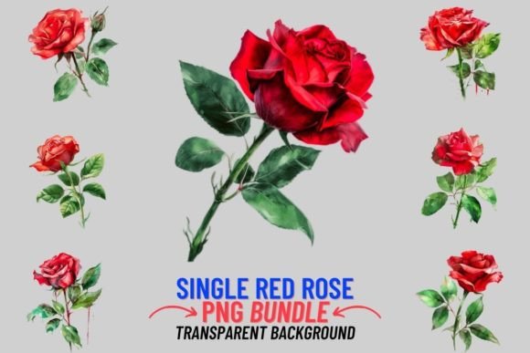 Single Red Rose 12 PNG Clipart Bundle: A Designer's Guide